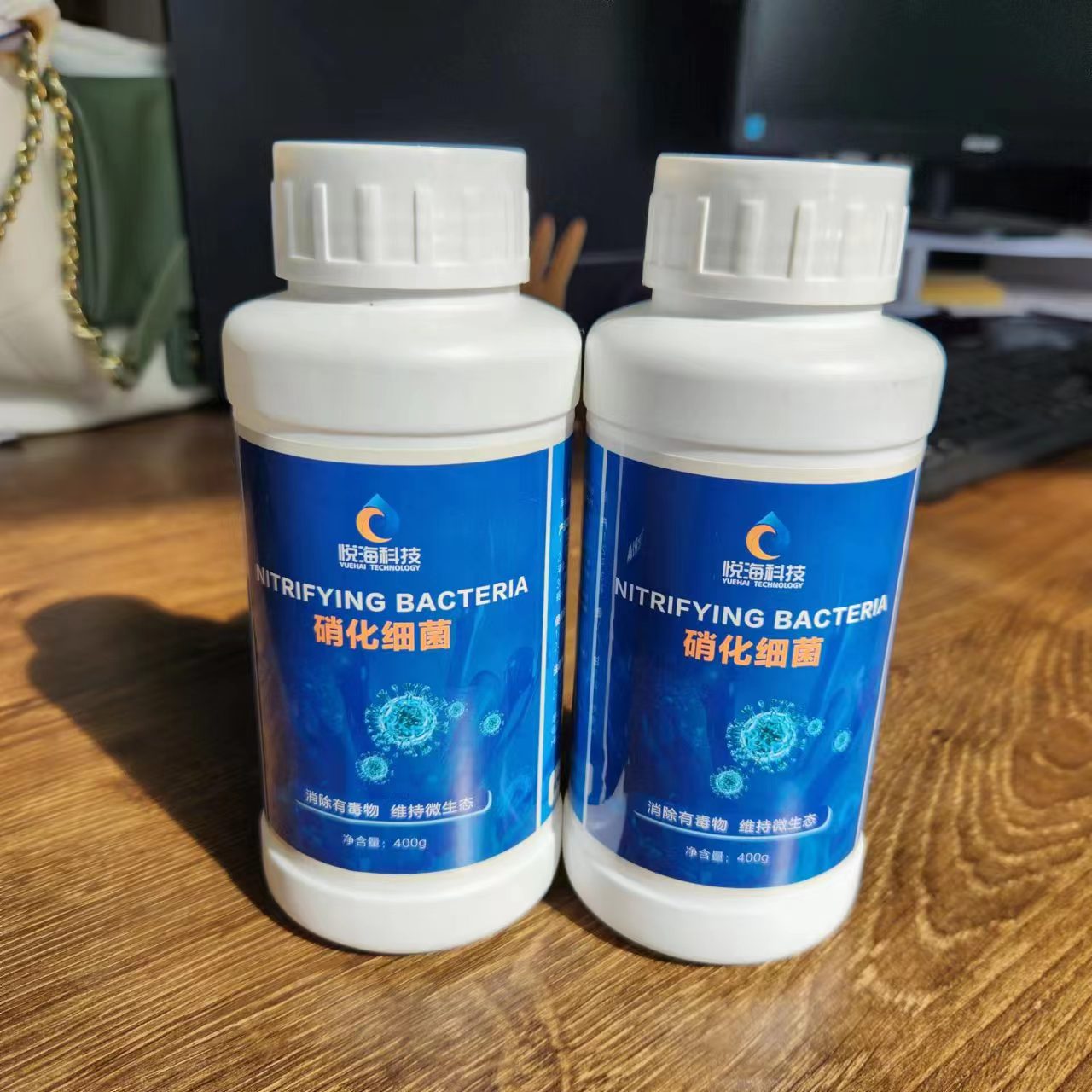 硝化细菌